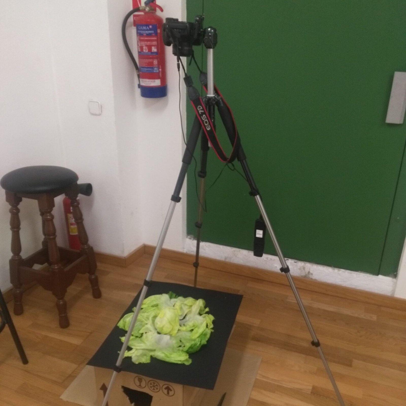 makingoff_yhd_lightart