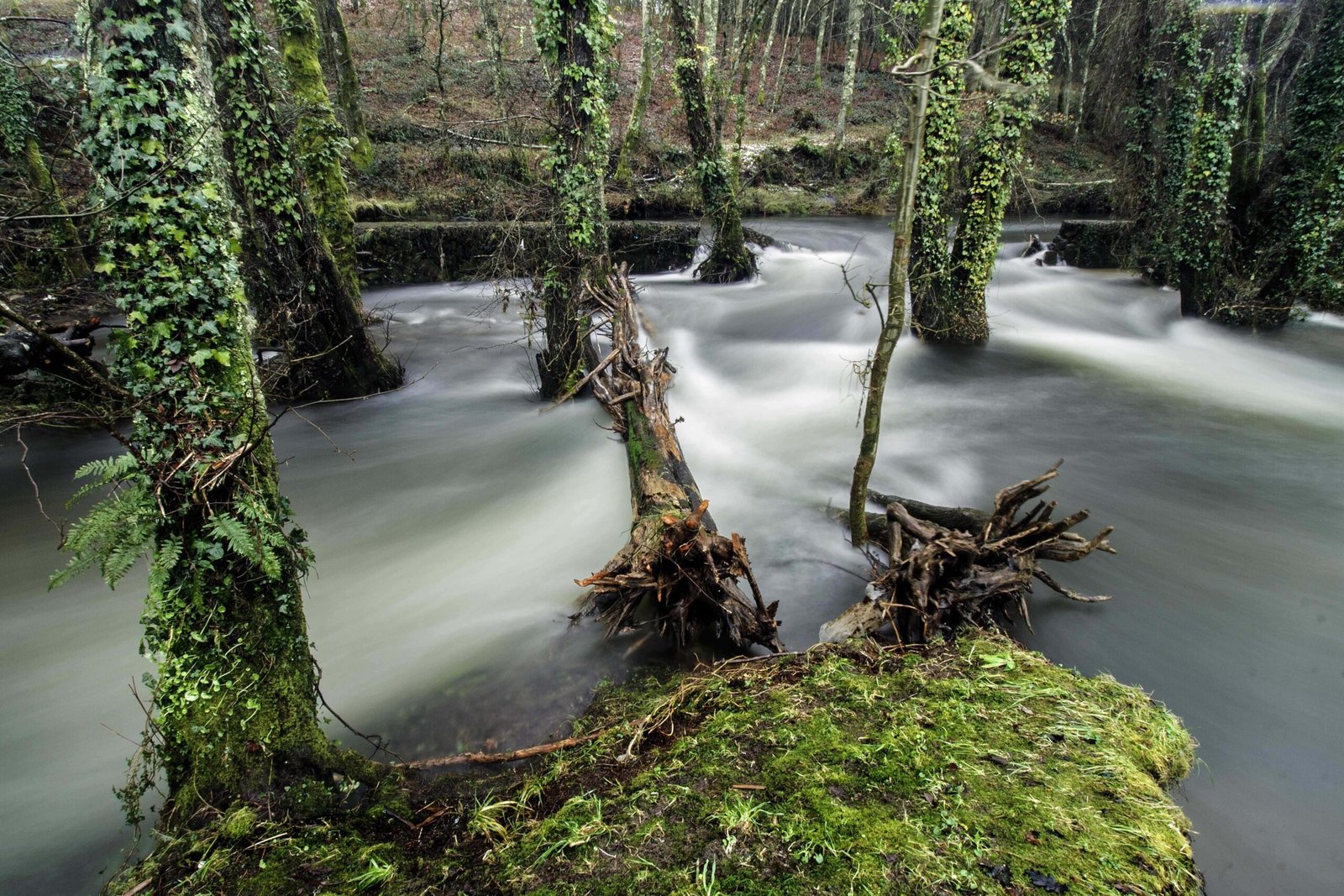 muino_do_ranego_vilalba_yhd