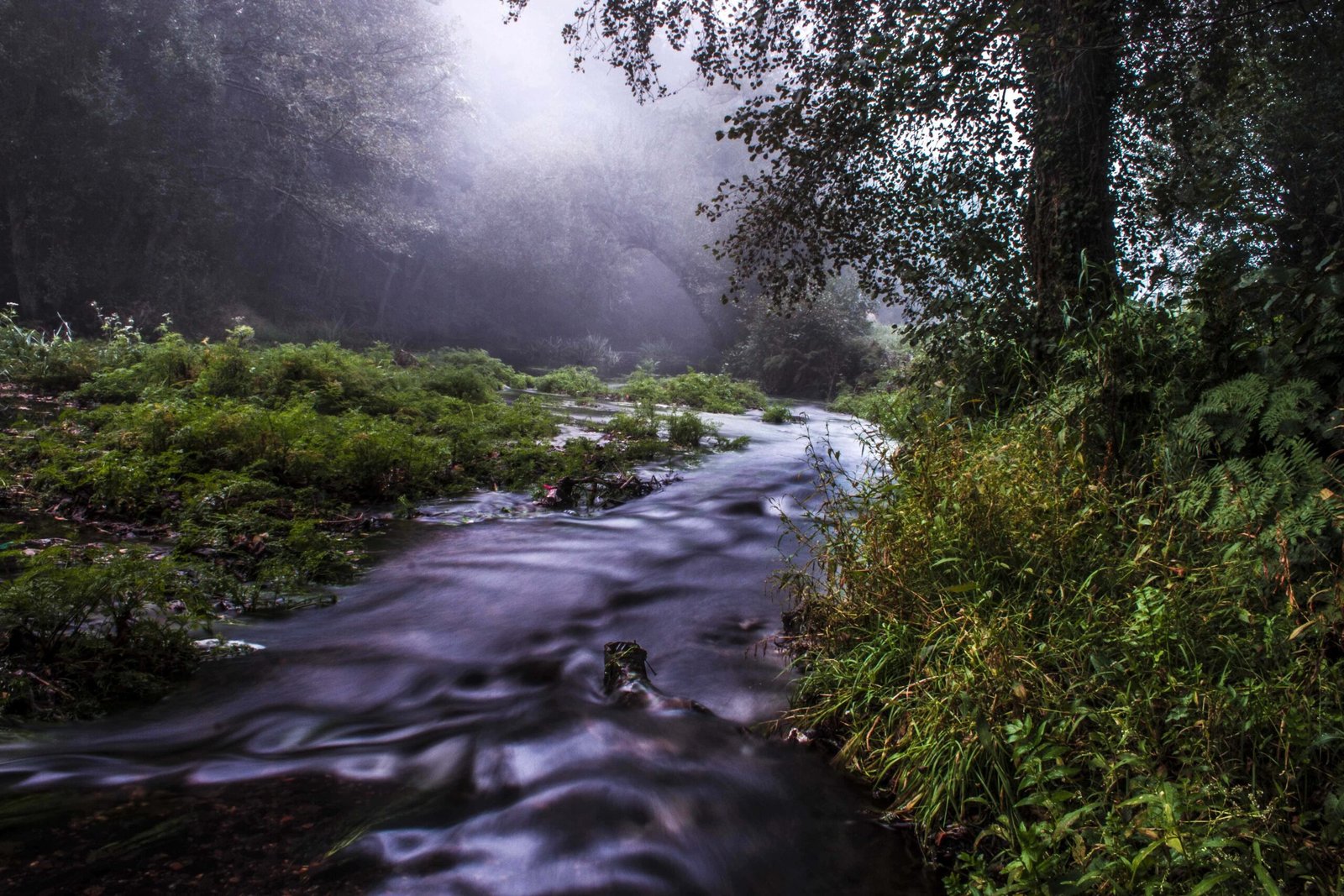 muino_ranego_vilalba_rio