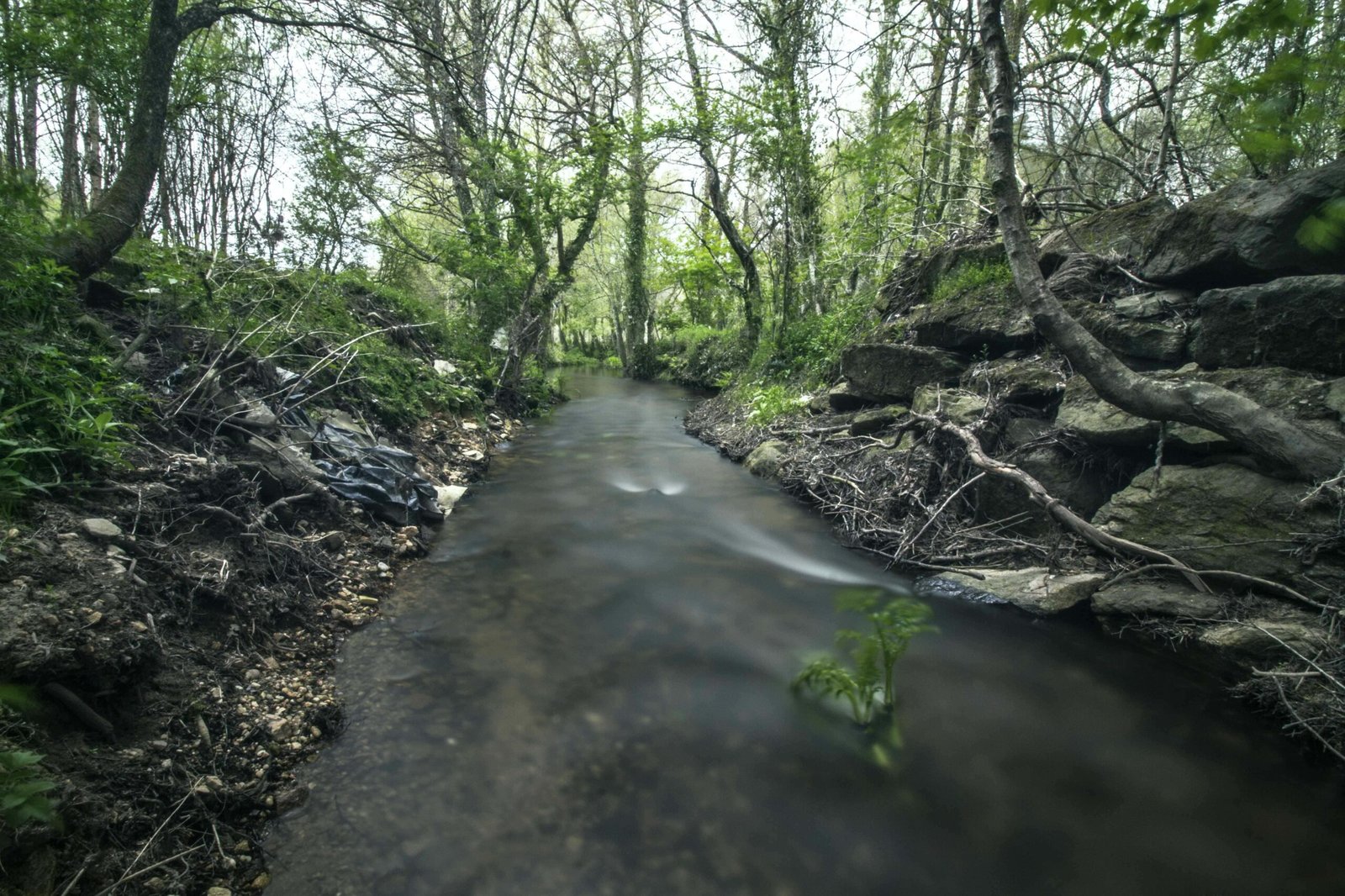 riomagdalena_vilalba_yhd